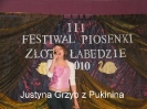 Festiwal 2010