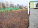 wiosna zimową porą