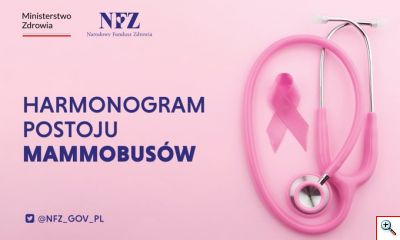 MAMMOBUS GRAFIKA
