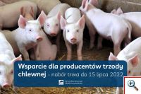 Wsparcie dla producentów trzody chlewnej - trwa nabór wniosków