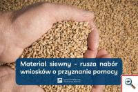 Materiał siewny - rusza nabór wniosków o przyznanie pomocy